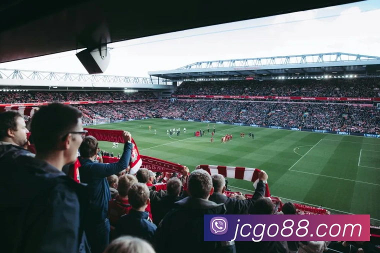 App Interface Preview