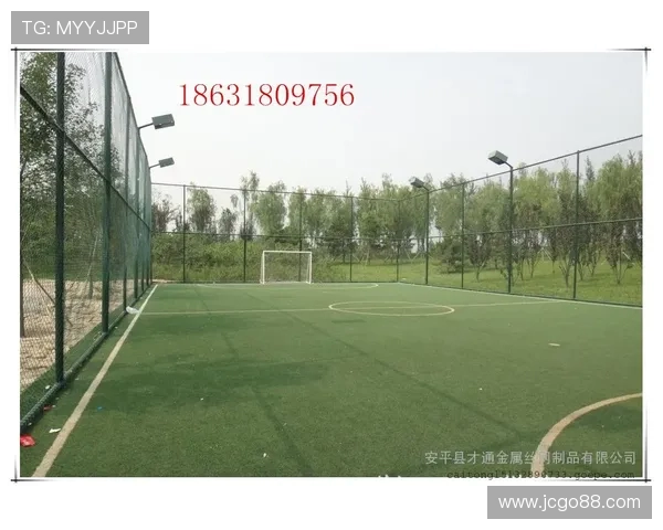 丽水足球挡板厂家打造高品质运动防护设施助力安全比赛环境